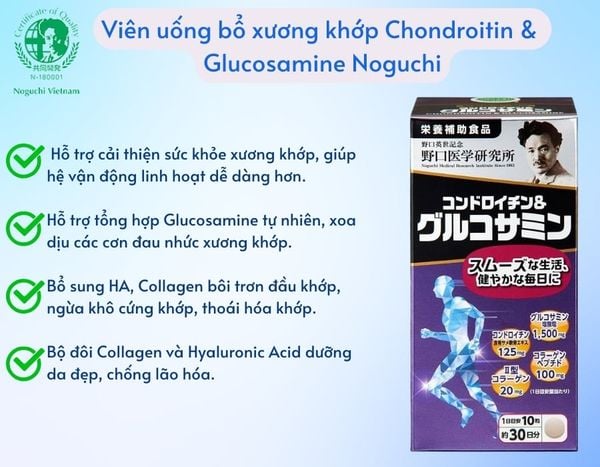 Công Dụng Viên Uống Chondroitin & Glucosamine Noguchi