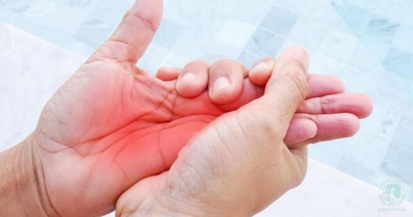 Hình ảnh sản phẩm