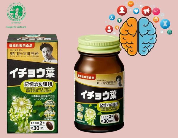 Viên uống bổ não Premium Ginkgo Leaf Noguchi 60 viên