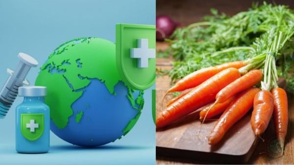 tìm hiểu Ăn cà rốt có sáng mắt không