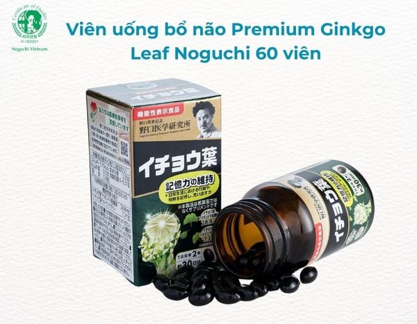 Viên uống bổ não Premium Ginkgo Leaf Noguchi 60 viên