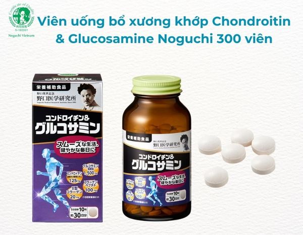 Viên uống bổ xương khớp Chondroitin & Glucosamine Noguchi