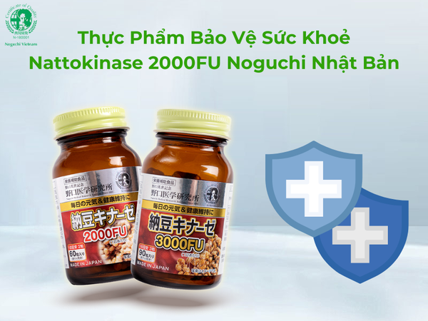 Thực phẩm bảo vệ sức khỏe Nattokinase 2000FU Noguchi