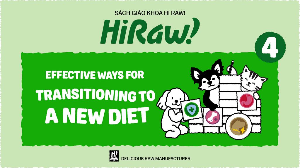 TEACHING PETS TO EAT RAW FOOD CORRECTLY