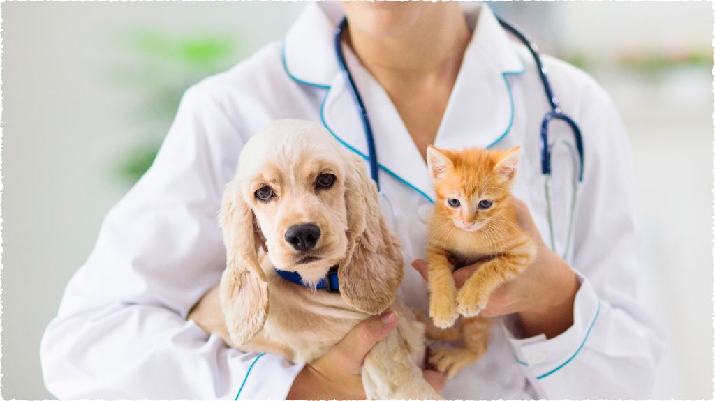 PROPER DEWORMING GUIDE FOR DOGS AND CATS