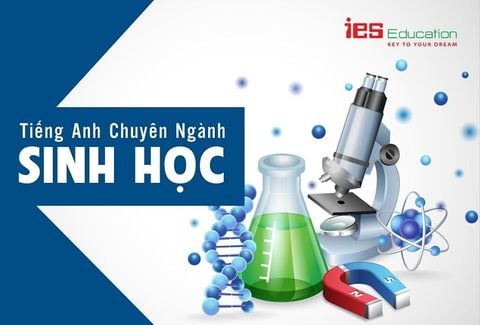 [ Học Từ Vựng Tiếng Anh ] - Chuyên ngành sinh học