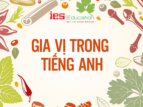 [ Học Từ Vựng Tiếng Anh ] - Chủ Đề Gia Vị và Mùi Vị