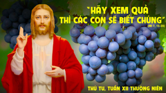 Suy Niệm Lời Chúa Thứ Tư Tuần XII Thường Niên Năm C