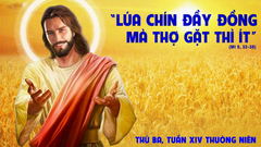 Suy Niệm Lời Chúa Thứ Ba Tuần XIV Thường Niên Năm C