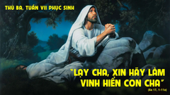 Suy Niệm Lời Chúa Thứ Ba Tuần VII Phục Sinh Năm C