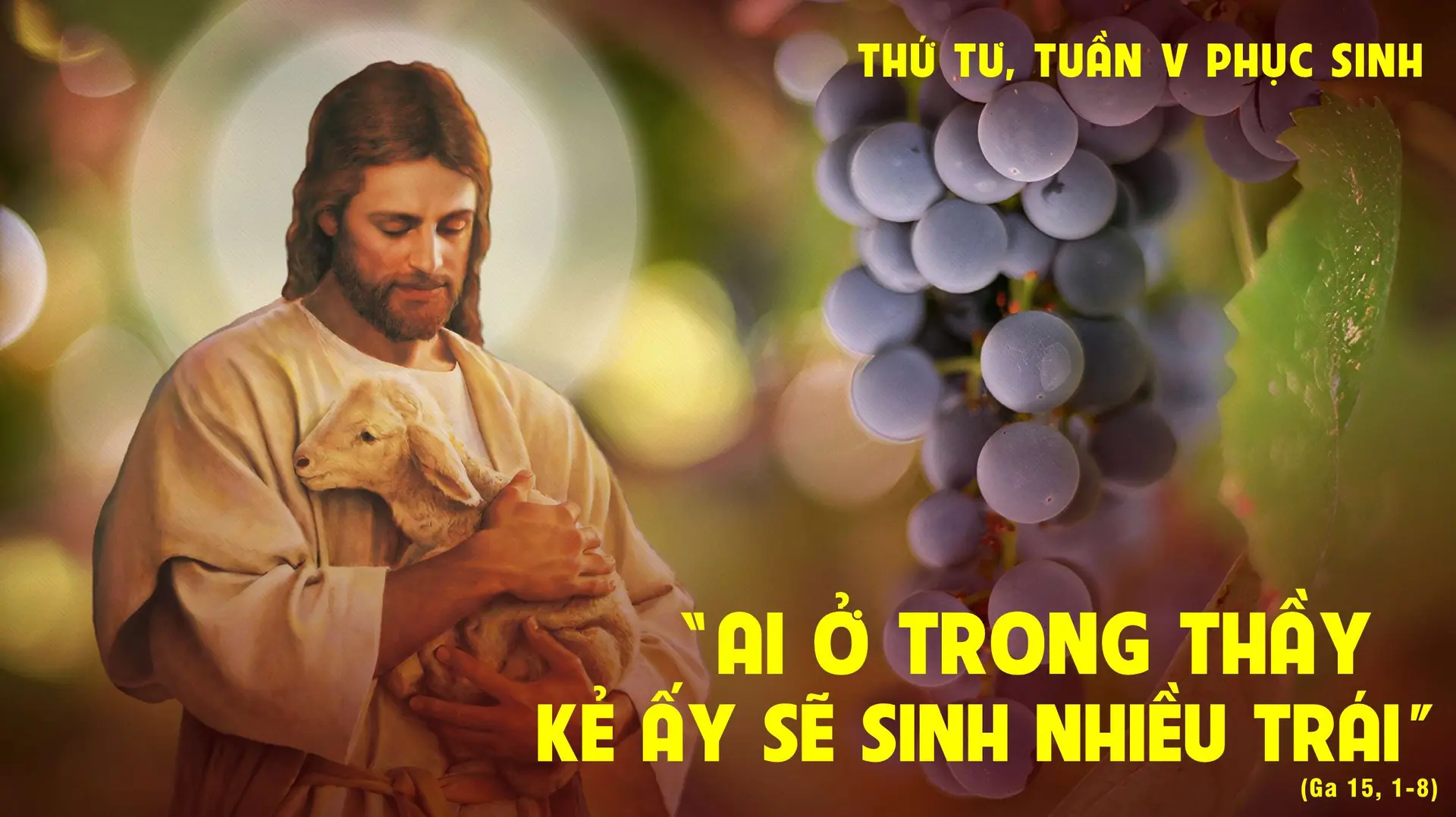 Suy Niệm Lời Chúa Thứ Tư Tuần V Phục Sinh Năm C
