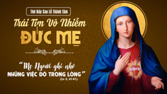 Suy Niệm Lời Chúa Thứ Bảy Tuần XI Thường Niên Năm C