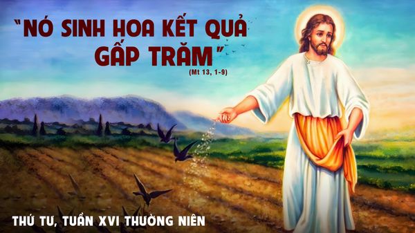 Những Hạt Giống Của Ngày Hôm Qua - Hành Trình Cảm Xúc Và Triết Lý Sống