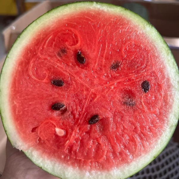 Những Nguy Hiểm Từ Dưa Hấu & Cách Phòng Tránh Ngộ Độc Nitrat Hiệu Quả