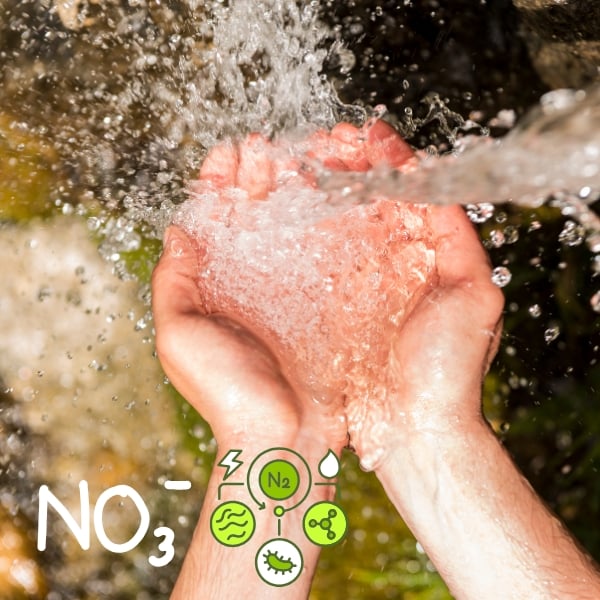 Nitrat Trong Nước: Nguồn Gốc, Tác Hại & Cách Phòng Ngừa Ngộ Độc Hiệu Quả