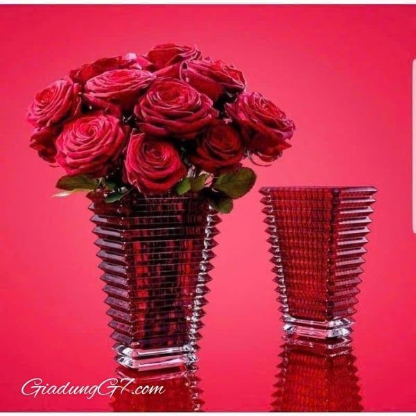 Bình hoa vân sóng Ruby cao 28cm màu đỏ miệng chữ nhật Thích hợp với nhiều kiểu cắm hoa cũng như nhiều loại hoa, tiện vệ sinh và bố trí tại các không gian khác nhau.