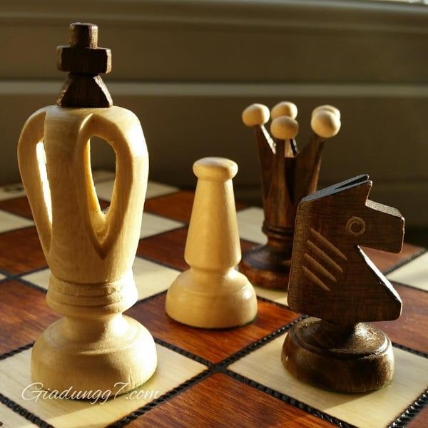 Bộ cờ vua quốc tế gỗ châu Âu Albatros Royal chắc chắn là món quà tuyệt vời cho những ai yêu bộ môn tư duy này