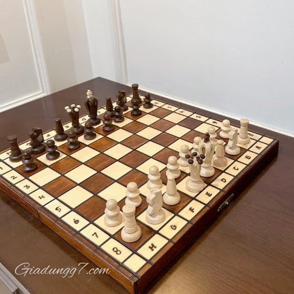 Bộ cờ vua quốc tế gỗ châu Âu Albatros Royal chắc chắn là món quà tuyệt vời cho những ai yêu bộ môn tư duy này