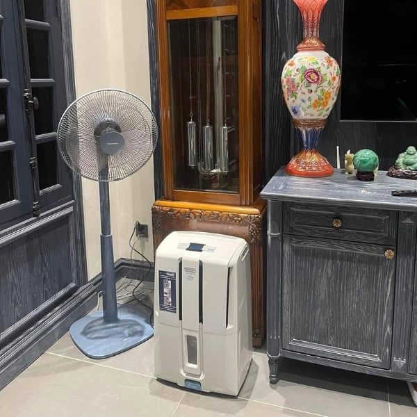 Máy hút ẩm Delonghi DD30P 30L/ngày Bảo trì đơn giản