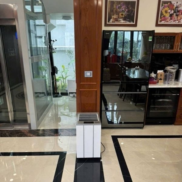 Máy hút ẩm Wood’s LD48Pro+ 180m2 Thể tích bình chứa 11,4 lít