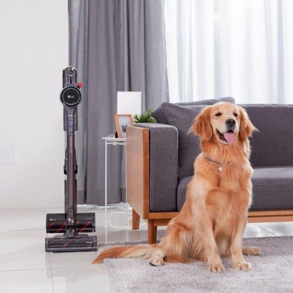 Máy hút bụi lau nhà LG A9K ULTRA Điều khiển một chạm