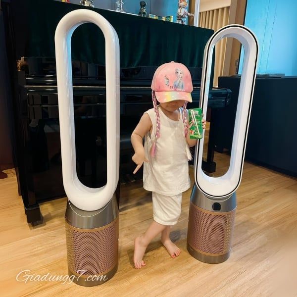 Máy lọc không khí Dyson TP12 Cảm biến và báo cáo tự động