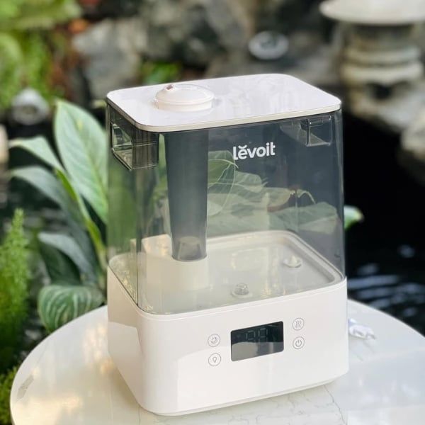Máy tạo độ ẩm Levoit Classic 300S chăm sóc cây