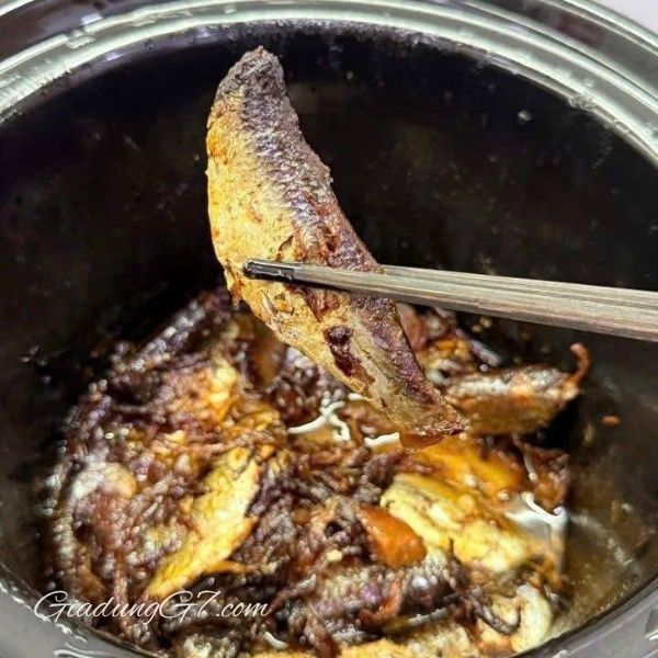 Nồi nấu chậm Russell Hobbs 2L Compact Home 145W Dung tích 2L lý tưởng và tiết kiệm cho mỗi bữa ăn