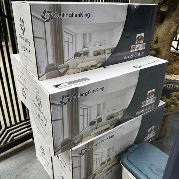 Chiếc Quạt trần đèn Ceiling Fanking QT-001