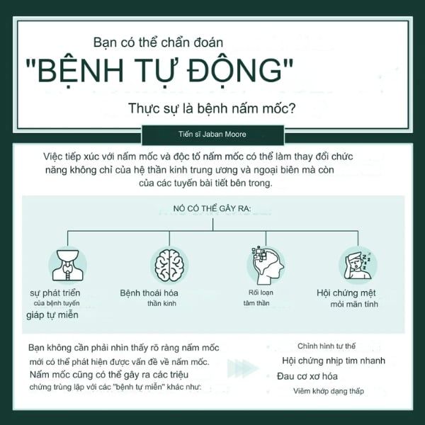 Nấm mốc không chỉ làm suy giảm hệ thống miễn dịch của cơ thể, tăng cơ hội bị nhiễm trùng mà còn có thể gây ra các triệu chứng về thần kinh