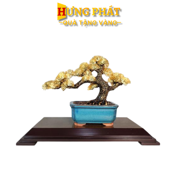 Chậu Tùng La Hán Dát Vàng 24K hungphatgold.vn