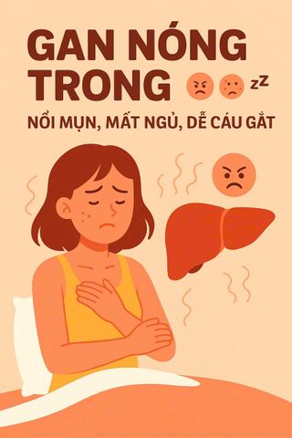 Vì sao người hay nóng trong, nổi mụn, mất ngủ... nên nghĩ đến gan đầu tiên?