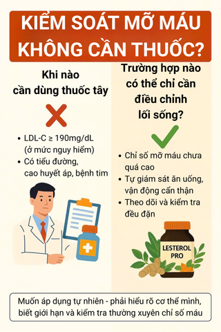 Có thể kiểm soát mỡ máu mà không cần thuốc không? – Sự thật không đơn giản như bạn nghĩ