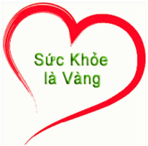 YẾN SÀO ĐẤT PHƯƠNG NAM - TỔ YẾN TỪ TRANG TRẠI ĐẾN BÀN ĂN
