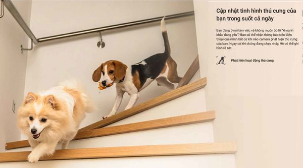 camera-wifi-ezviz-quay-quet-trong-nha-5mp-3k-h6