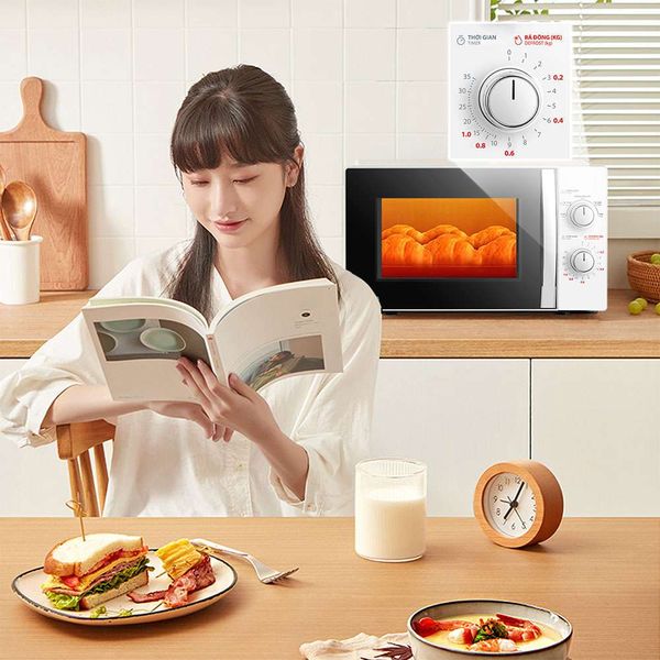 Lo-vi-song-toshiba-mwp-mm20p