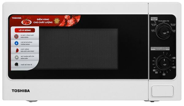 lo-vi-song-toshiba-er-sm20-w1-vn-11