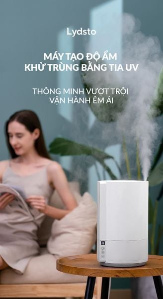 may-tao-do-am-va-khu-trung-xiaomi-lydsto-h303