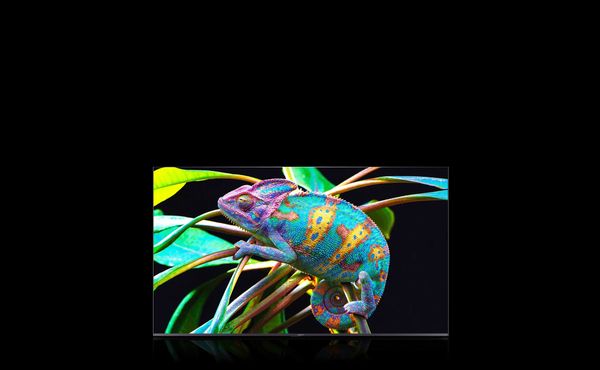 Tivi-Xiaomi-Smart-Display-Max-86-inch