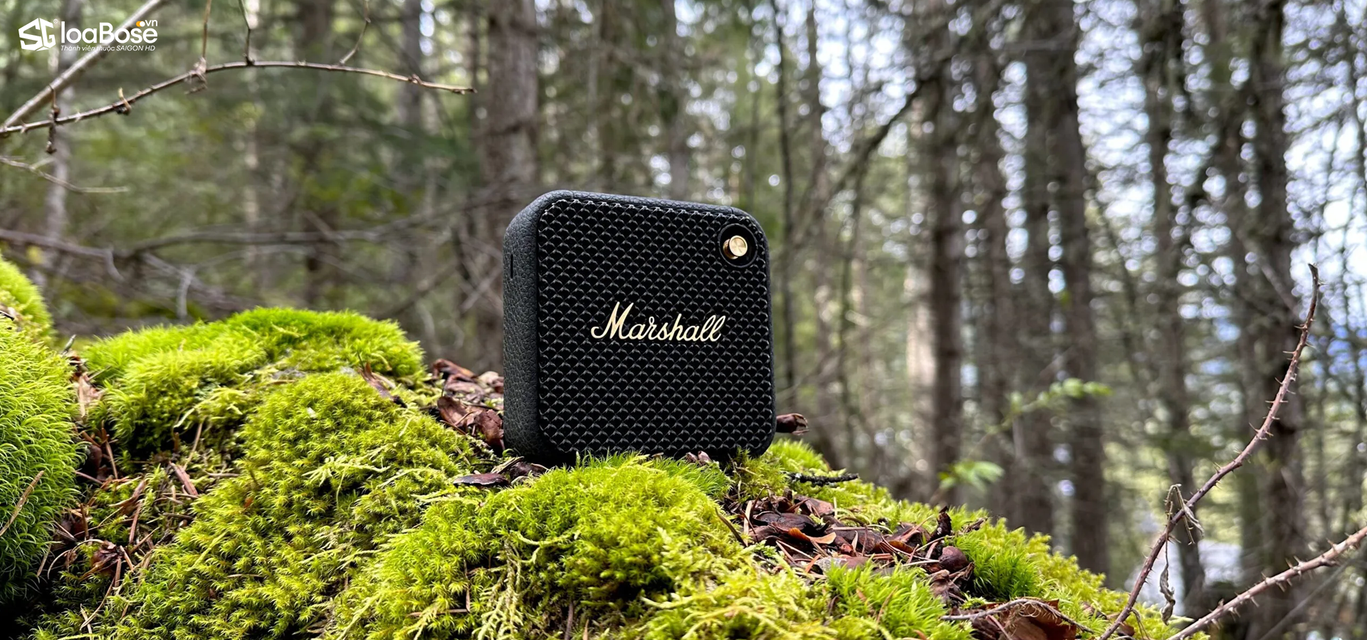 Loa Bluetooth di động nhỏ gọn Marshall Willen II dành cho bạn thích du lịch độc hành