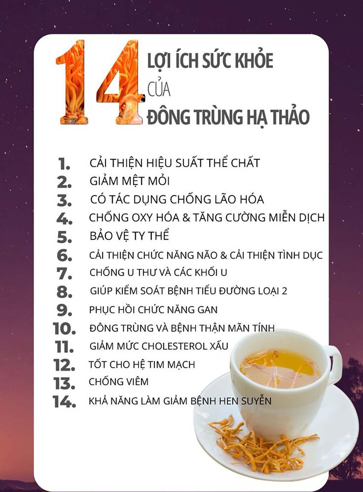 công dụng của đông trùng hạ thảo