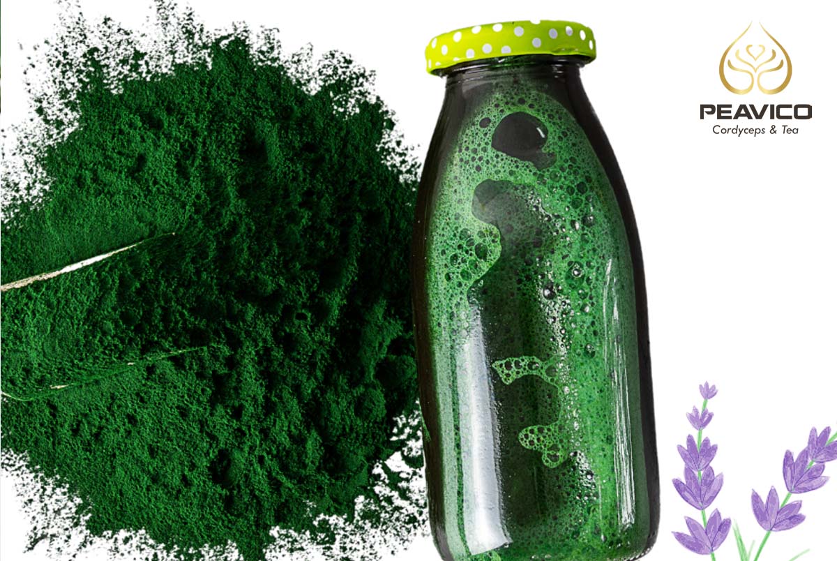 làm đẹp với tảo xoắn spirulina