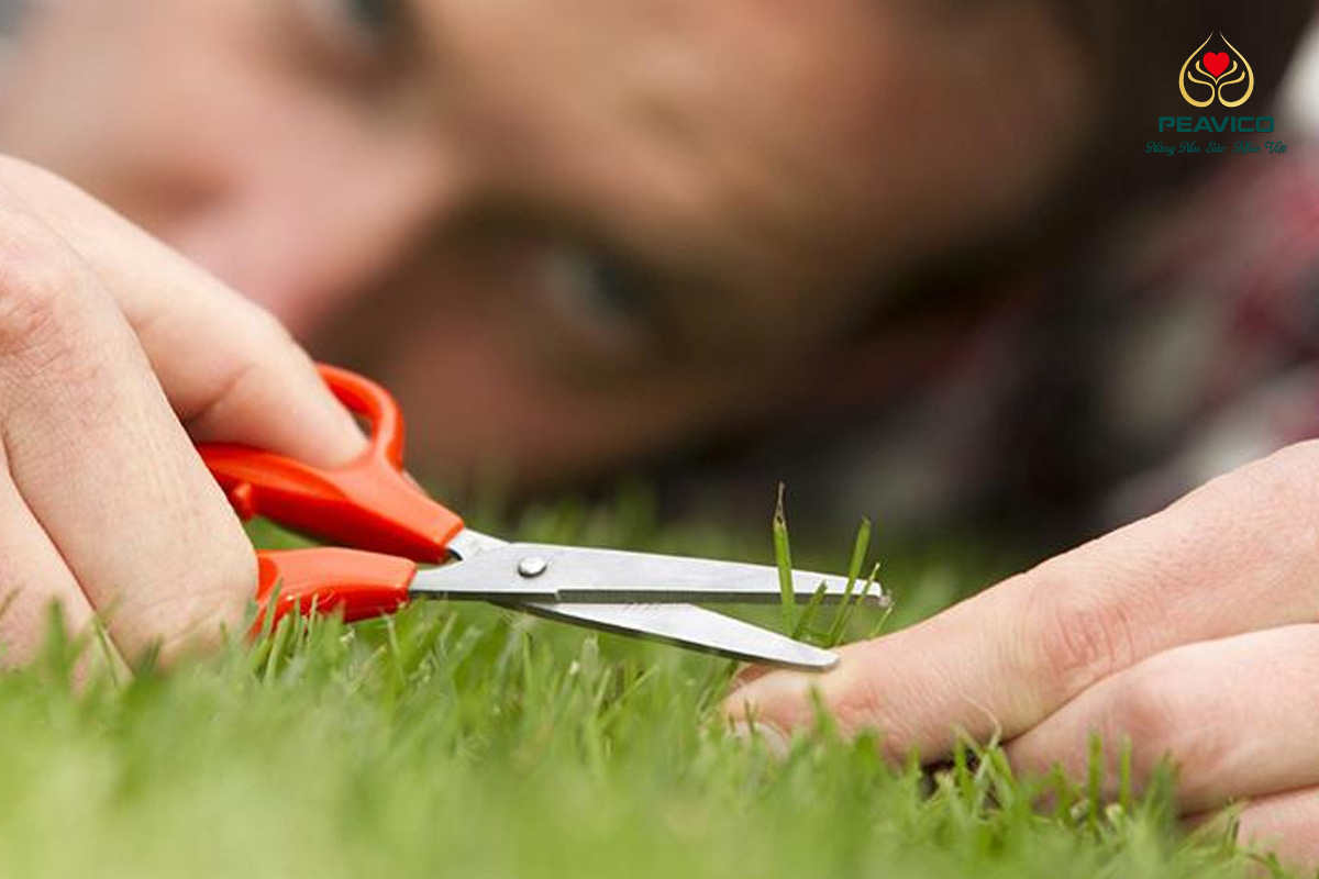 Đừng mong đợi sự hoàn hảo từ người khác