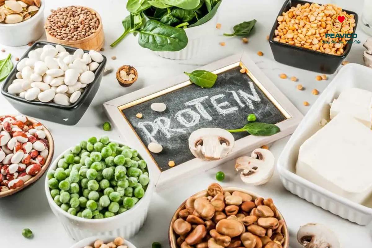 protein thực vật giảm nguy cơ ung thư