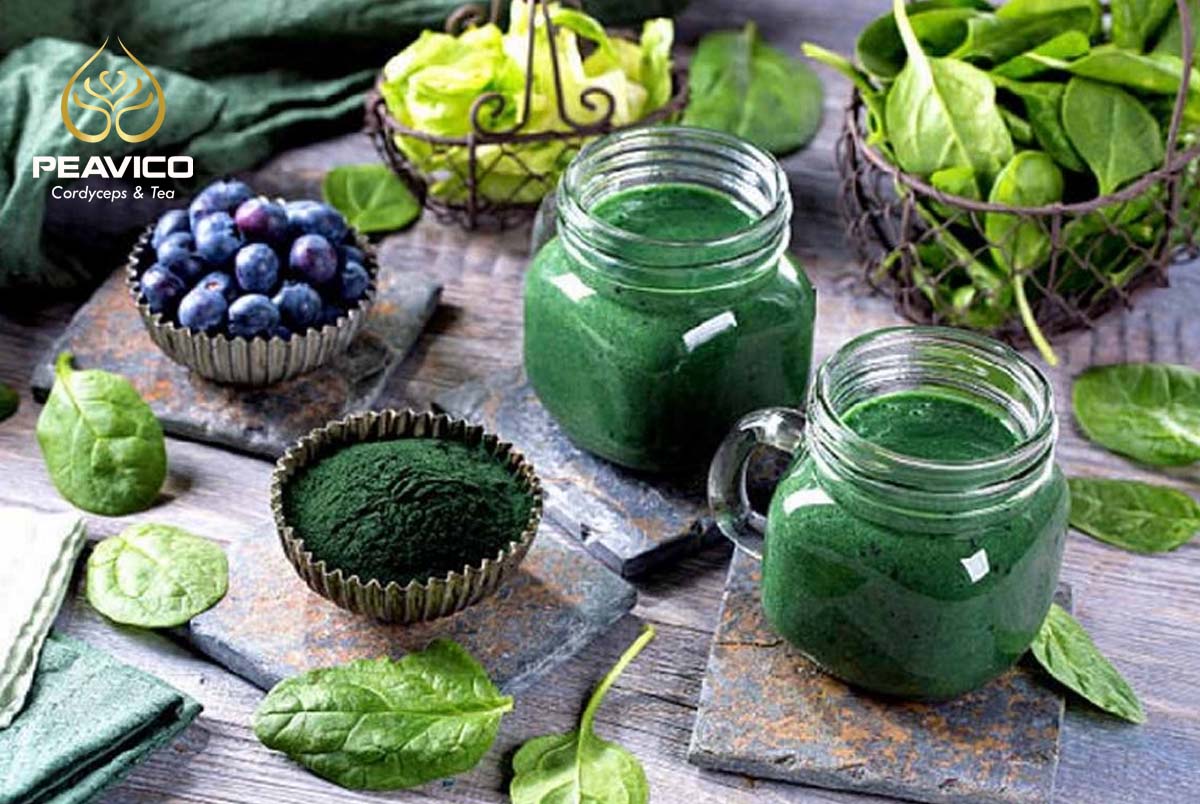 công dụng của tảo xoắn spirulina