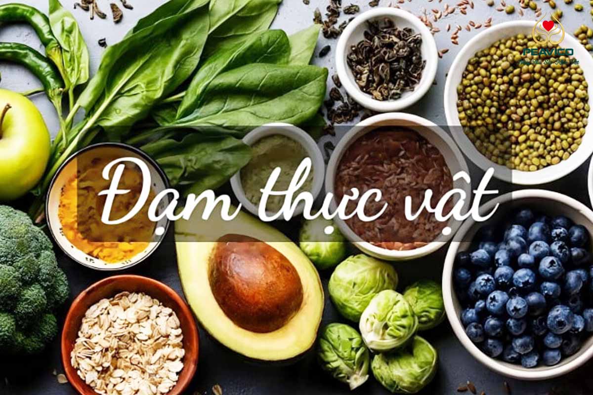 đạm thực vật