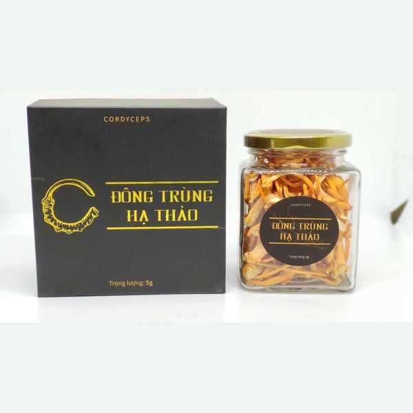 Độ tuổi nào thì nên sử dụng Đông Trùng Hạ Thảo ?