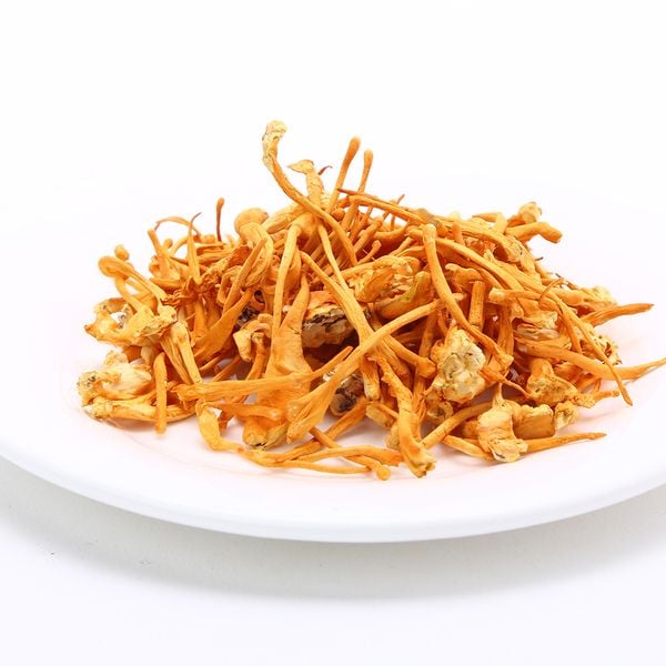 Đông Trùng Hạ Thảo - Báu vật của tinh hoa đất trời