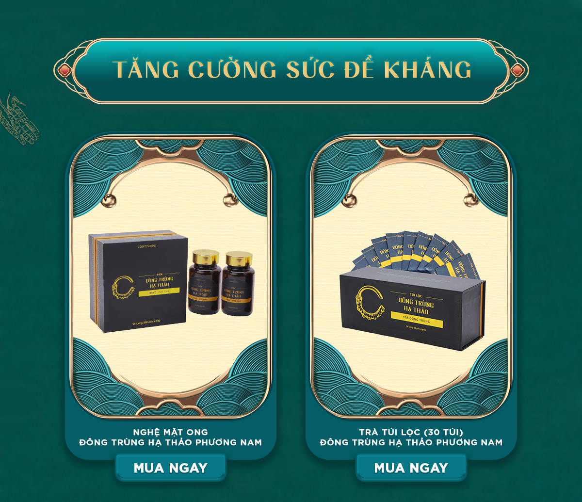 Tăng sức đề kháng và tăng cường sinh lý cùng Đông trùng hạ thảo Phương Nam