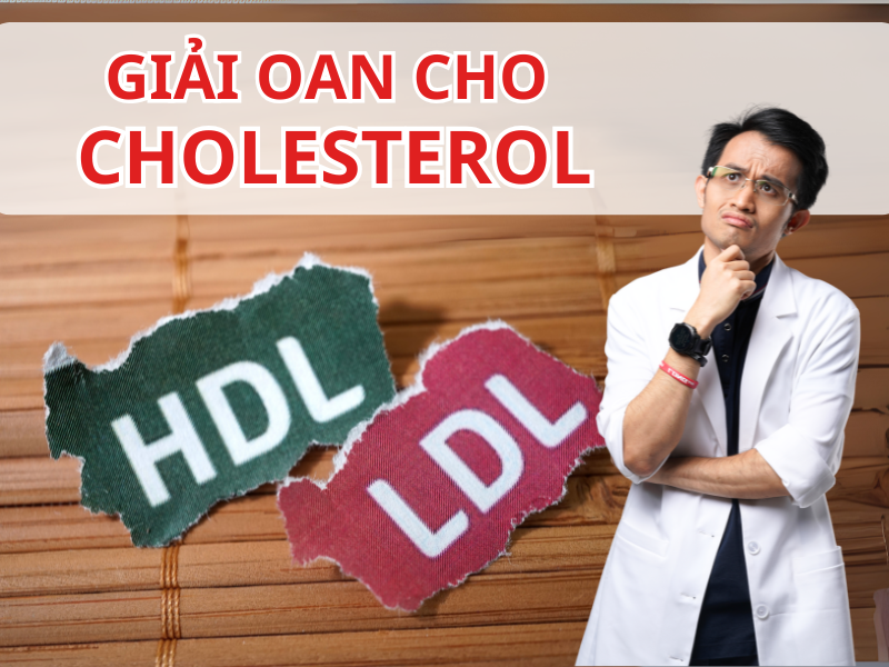 Cholesterol Có Thực Sự Gây Hại? Sự Thật Về Chất Béo Và Sức Khỏe Tim Mạch